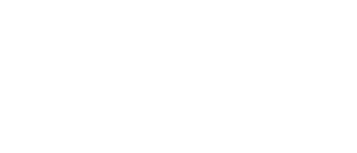 Singidunum University Logo